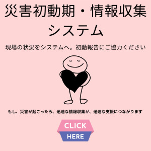 災害初動期・情報収集システムのサムネイル